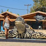 Zante Turtle Center