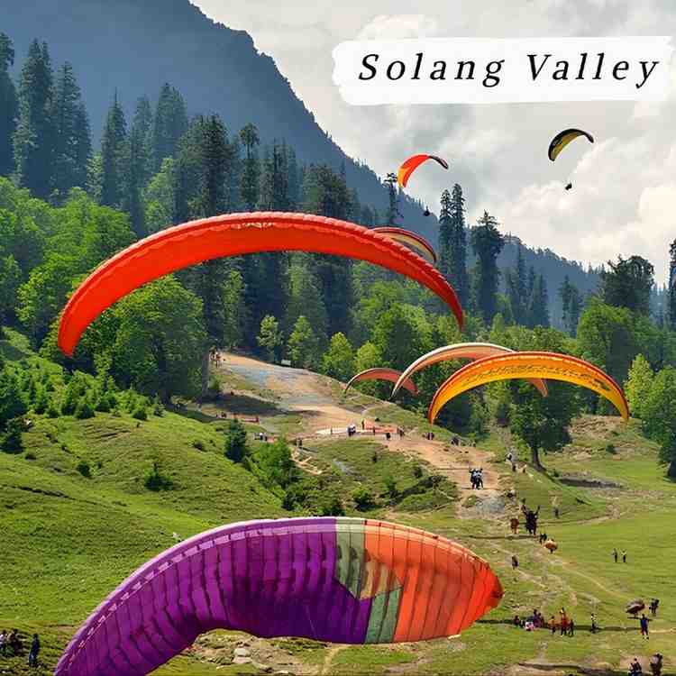 Hotel Snow & Sunshine Solang