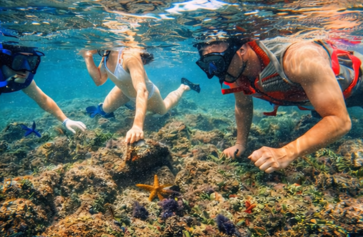 Sol Eco Adventures