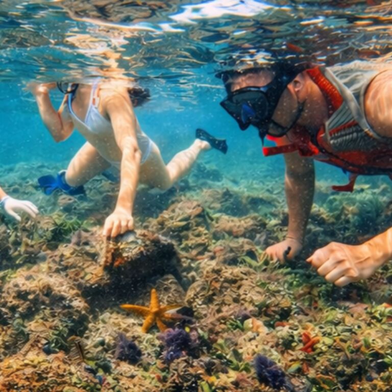 Sol Eco Adventures