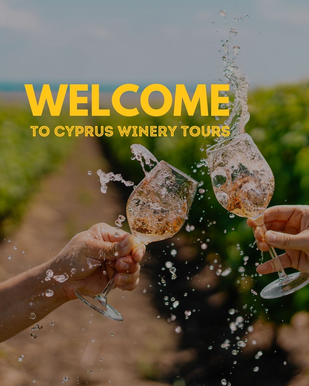 Cyprus Wine Tour