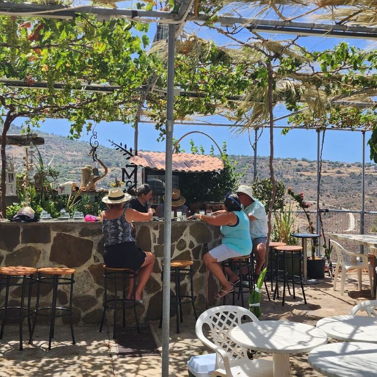 Cyprus Wine Tour