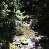 Ashimidani Campground