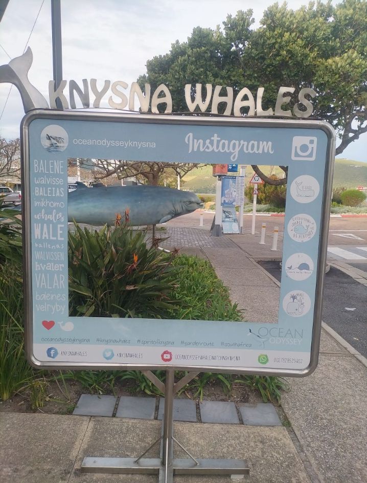 Wolf Transfers and Tours Pty