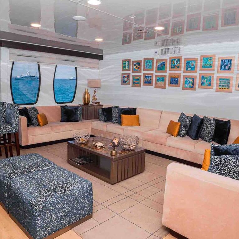 Alya Catamaran
