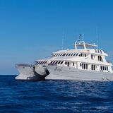 Alya Catamaran