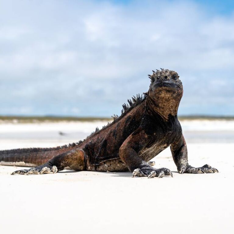 Galapagos Cruise Company