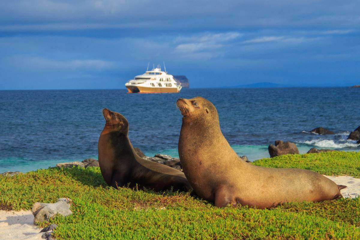 Galapagos Elite Catamaran