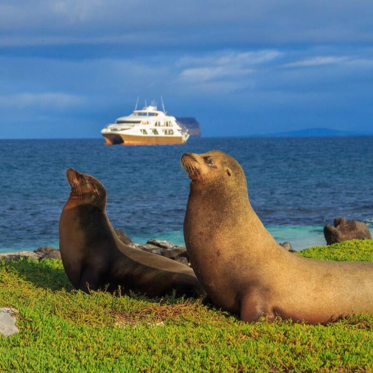 Galapagos Elite Catamaran