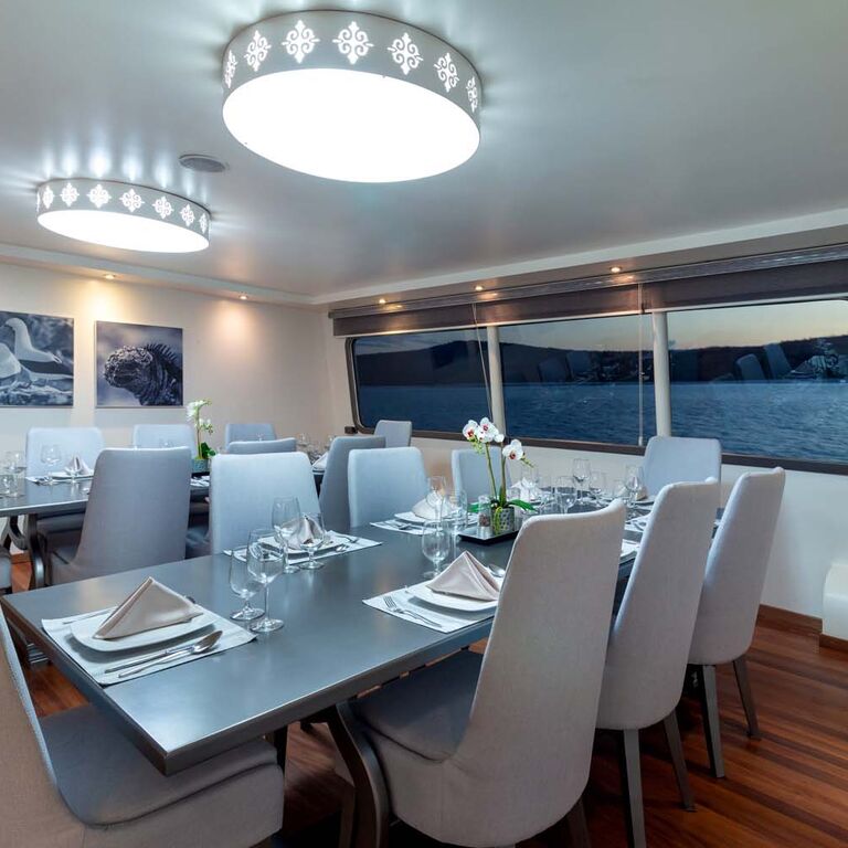 Horizn Trimaran