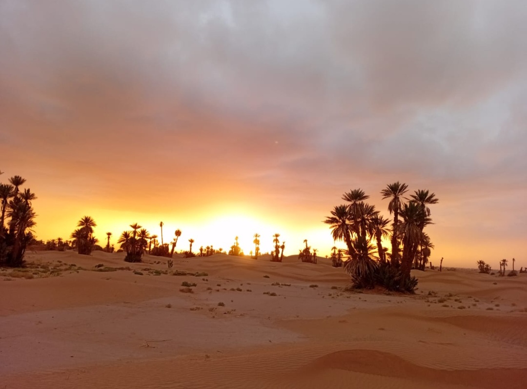 ALTERNATIVE DESERT MOROCCO