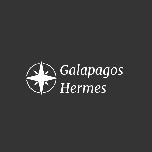 Galapagos Hermes Catamaran