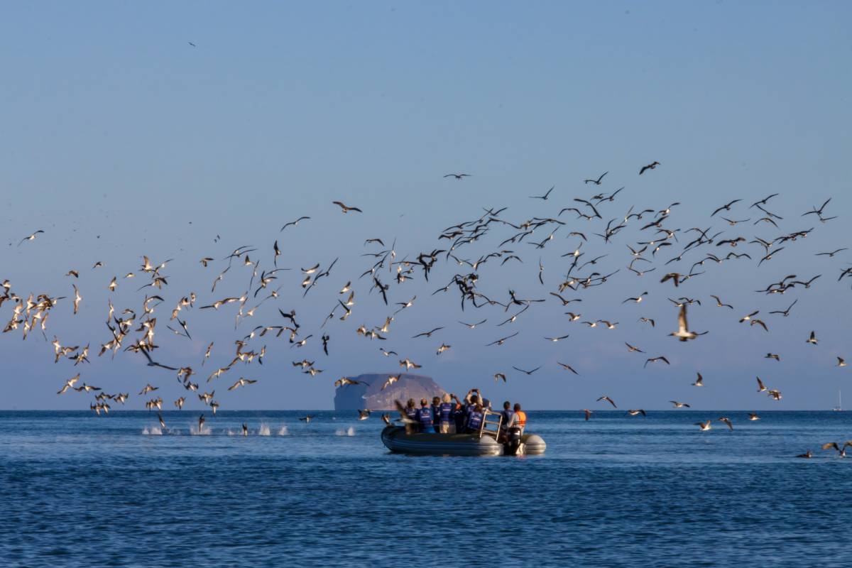 Galapagos Hermes Catamaran