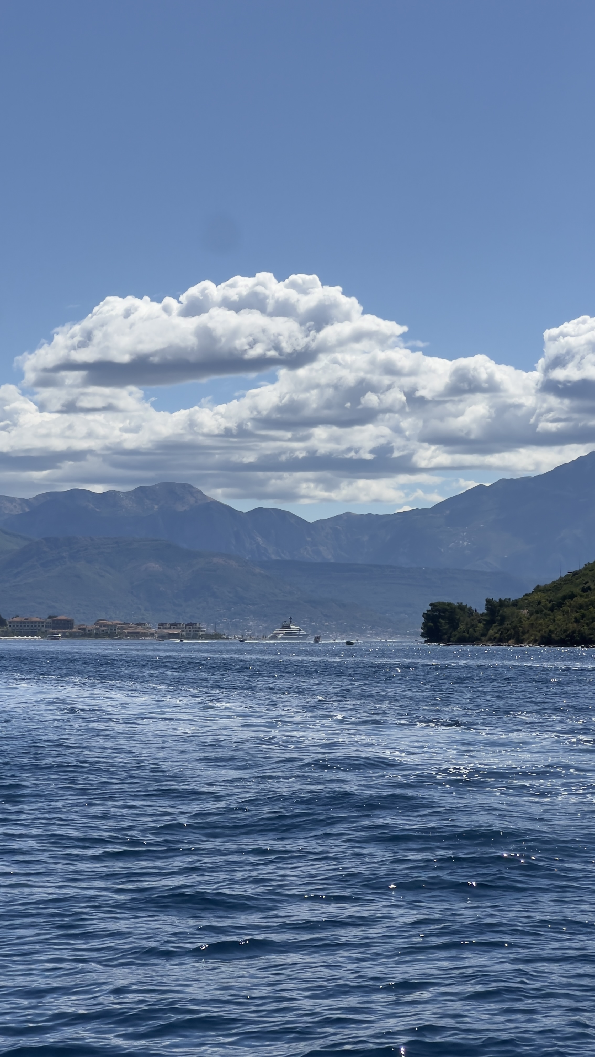 Prestige Speedboat Tours