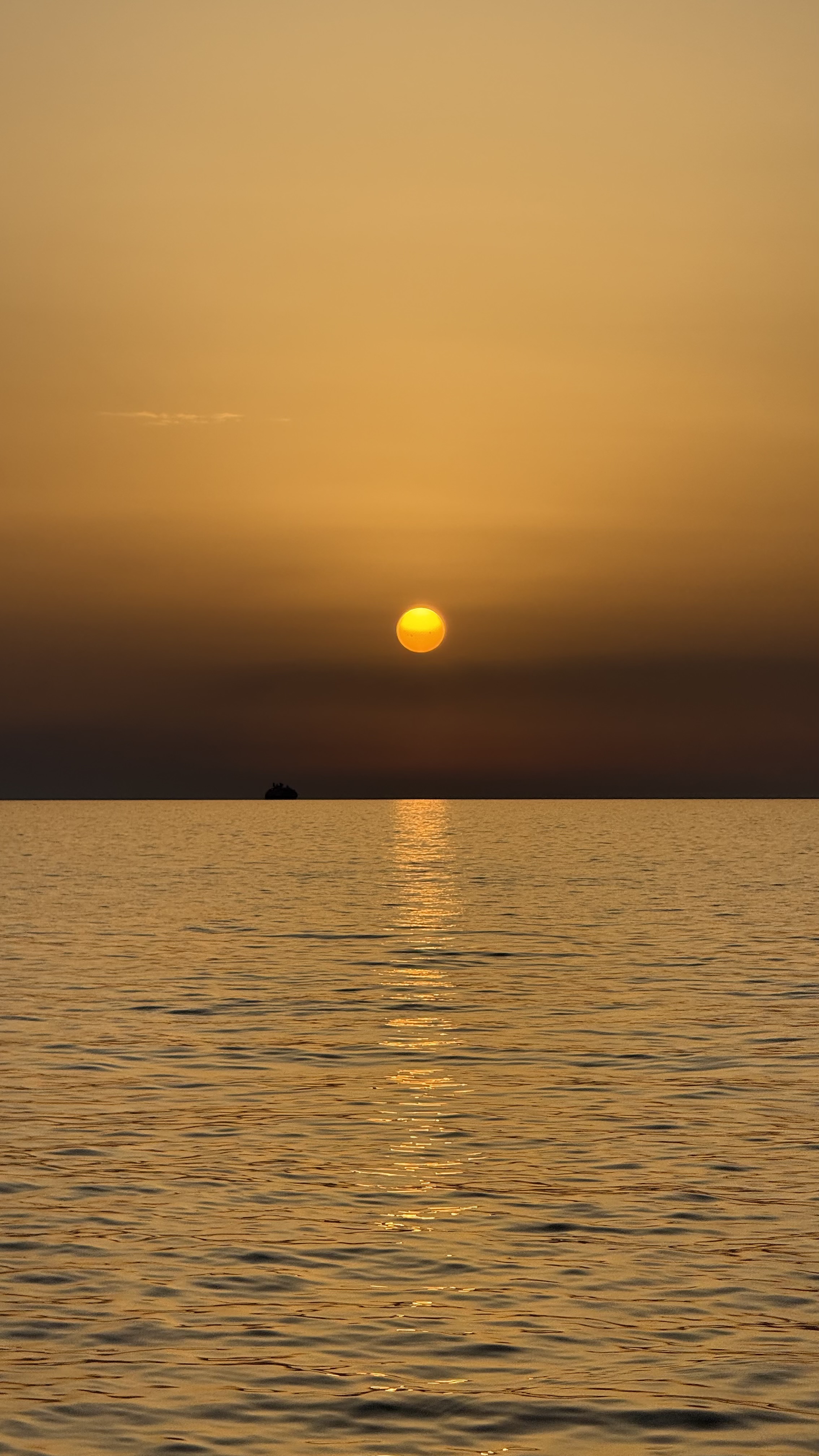 Prestige Speedboat Tours