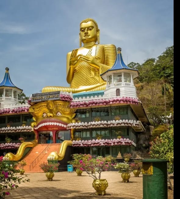 Ceylon Birdwing Tours