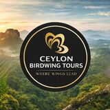 Ceylon Birdwing Tours