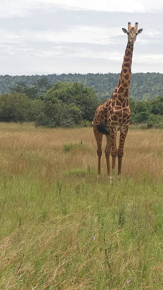Ben journeys africa