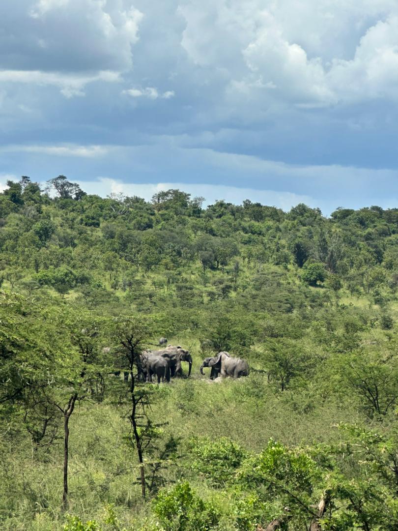 Ben journeys africa