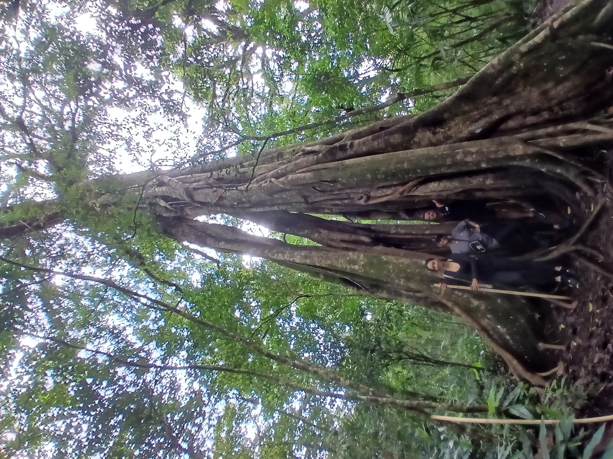 Kadek Berly
