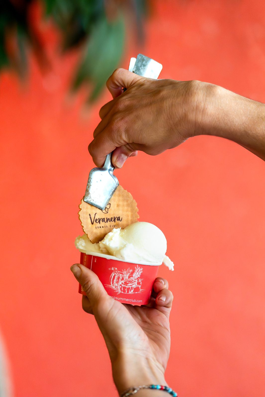 VERANERA GELATERIA SL