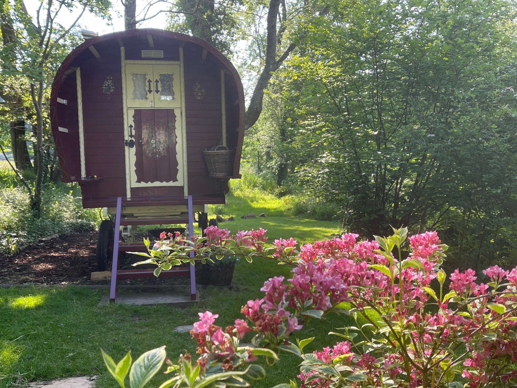 Fernwood Glamping