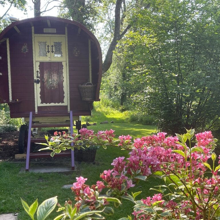 Fernwood Glamping