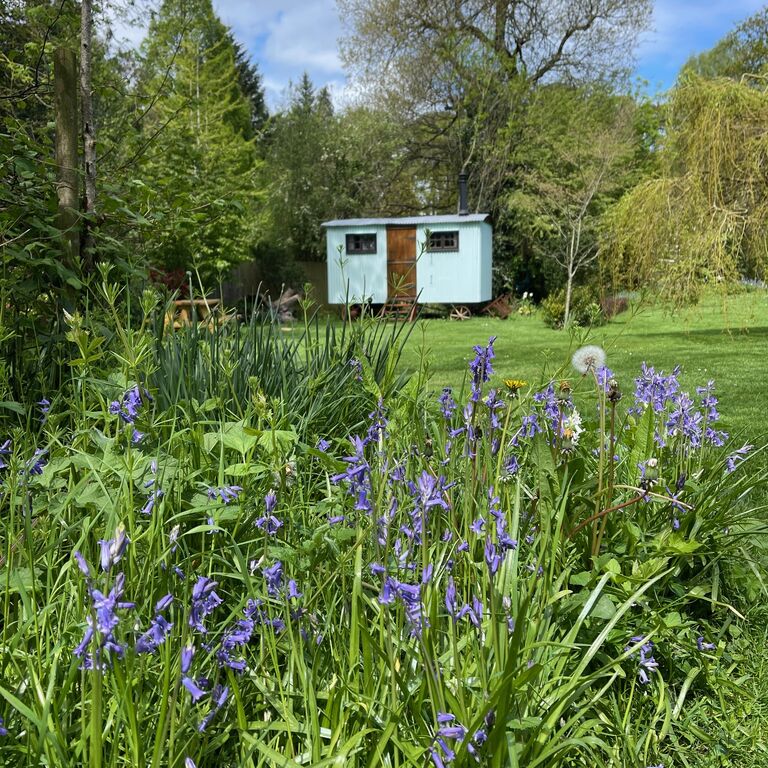 Fernwood Glamping