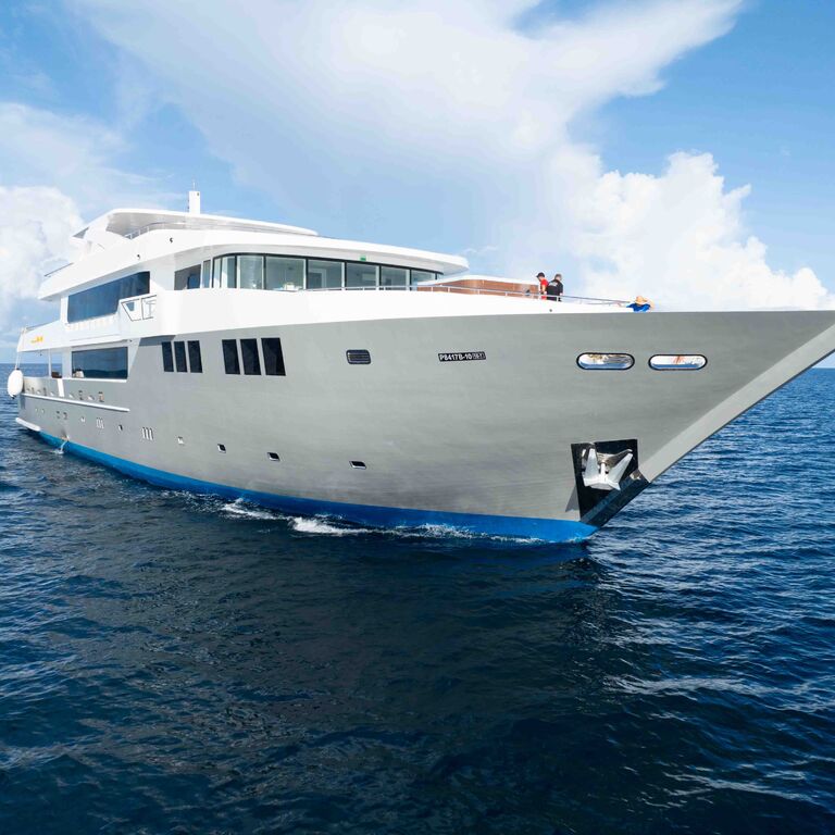 Top Class Cruising