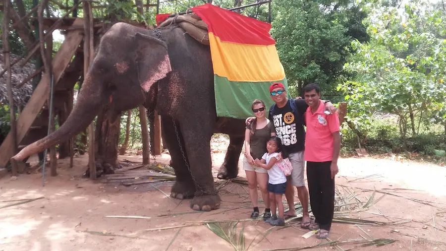 Tour Around Sri Lanka