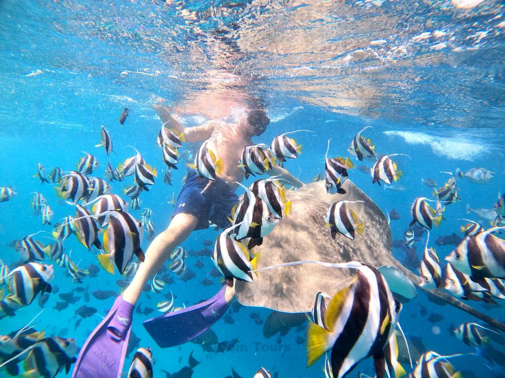 SEASUNBEACH Maafushi MALDIVES