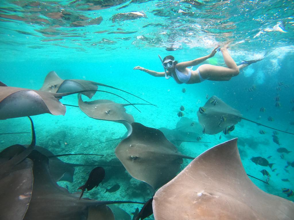 SEASUNBEACH Maafushi MALDIVES