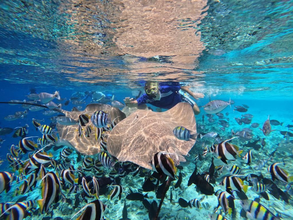 SEASUNBEACH Maafushi MALDIVES