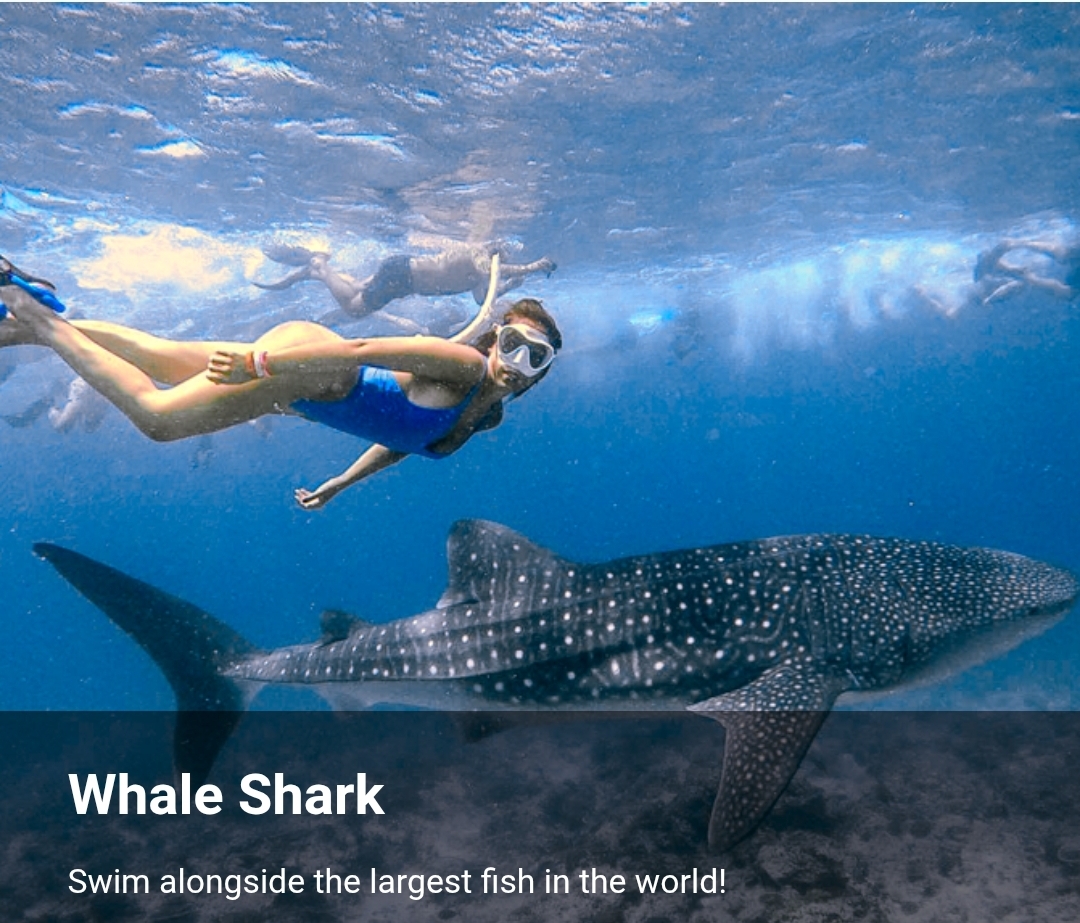 SEASUNBEACH Maafushi MALDIVES