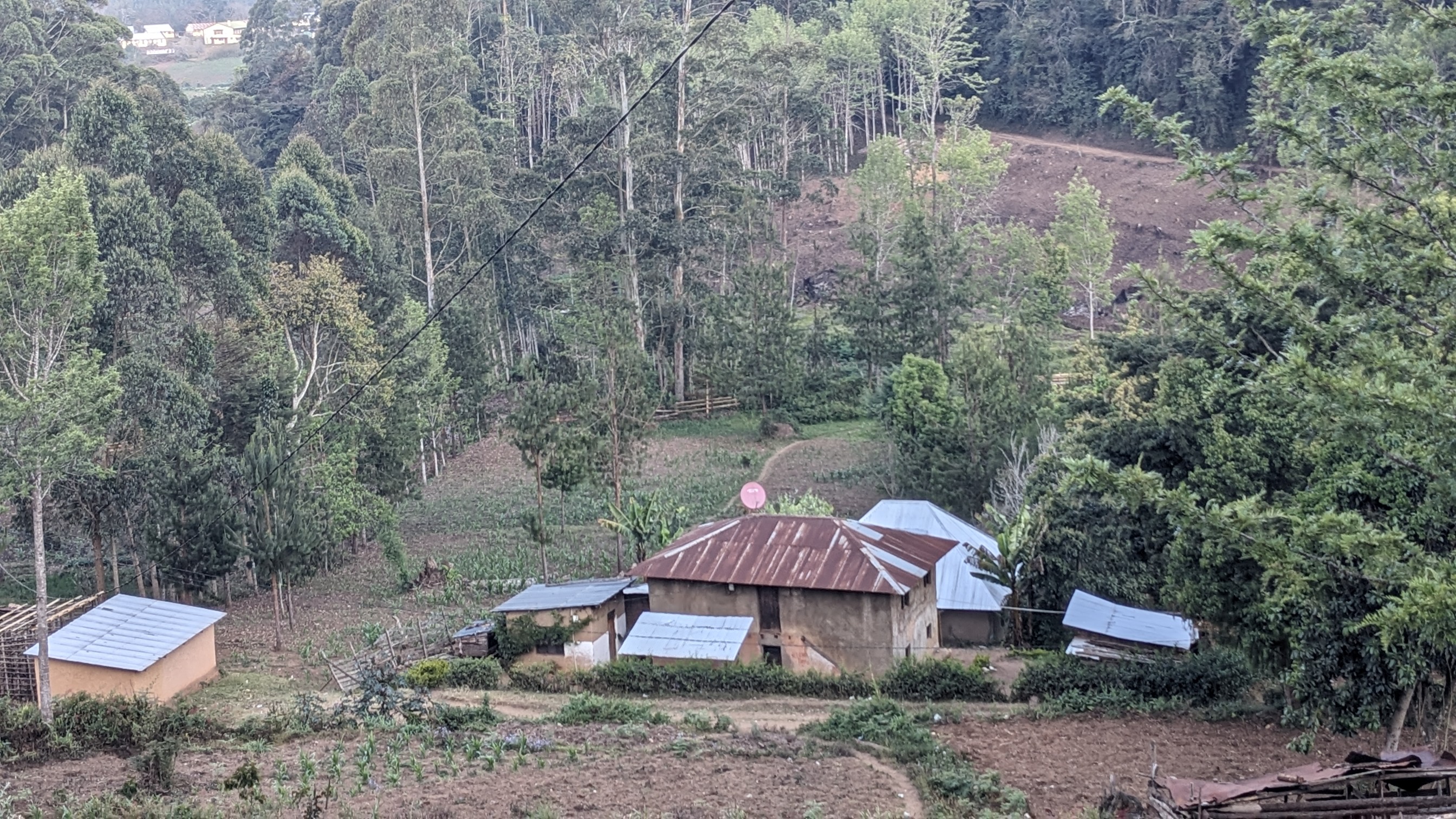Magamba Eco-cultural tourism.