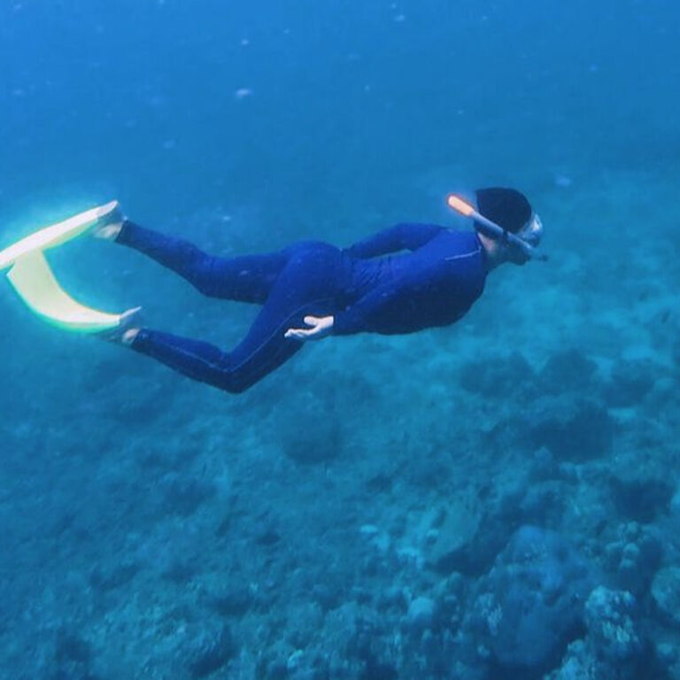 Bali Nemo Trip