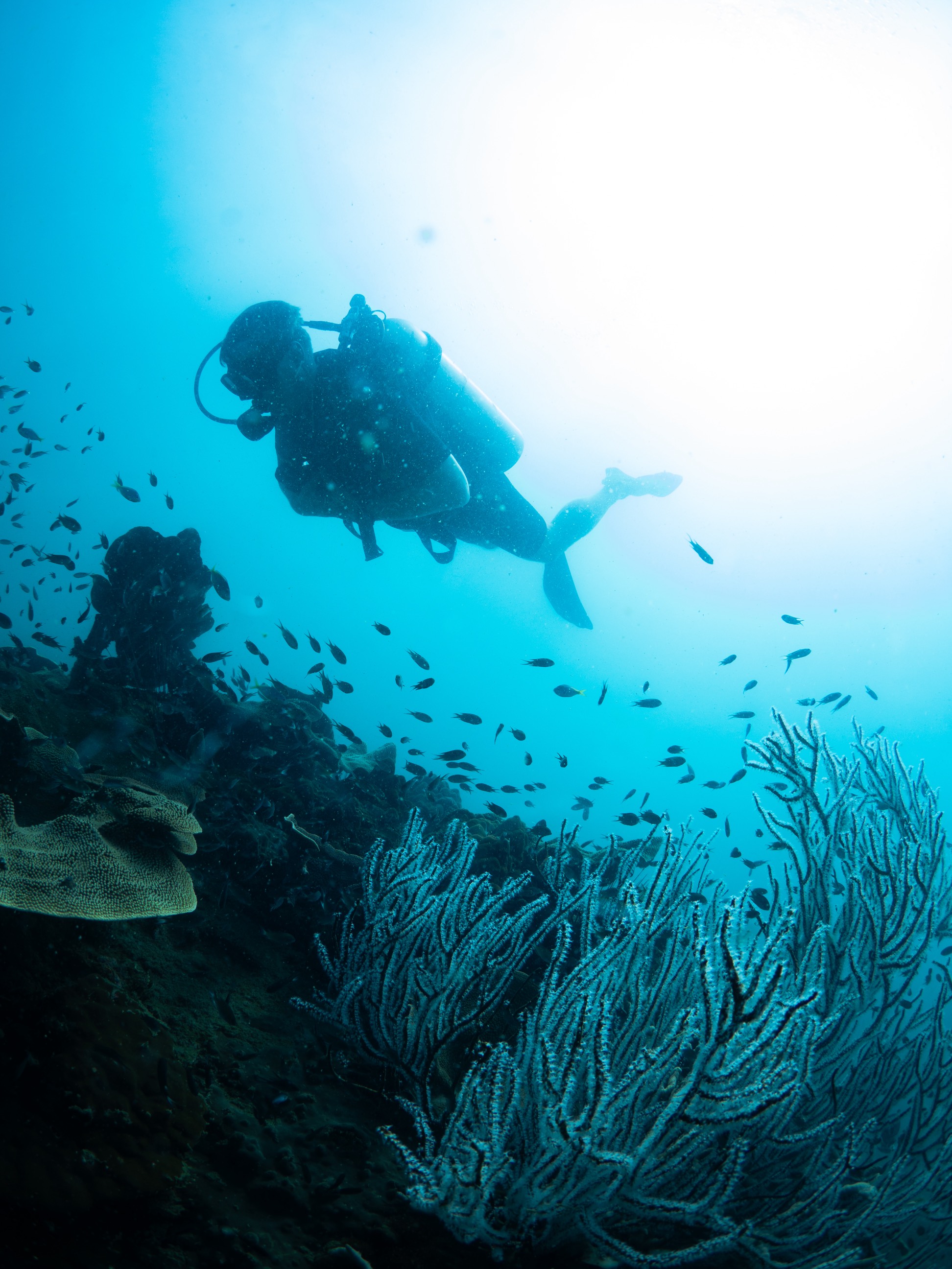 VN Bike Tour Phu Quoc