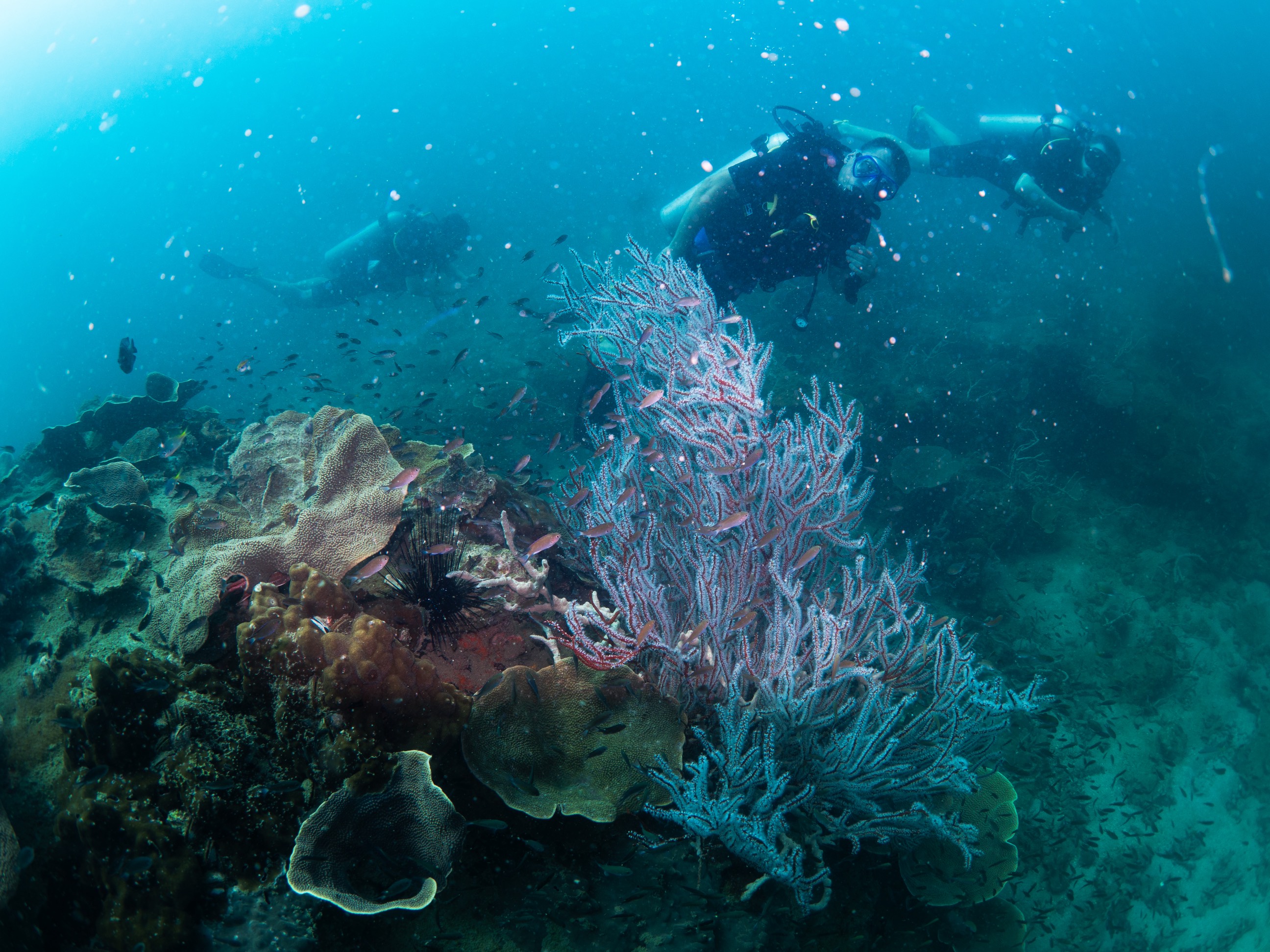 VN Bike Tour Phu Quoc