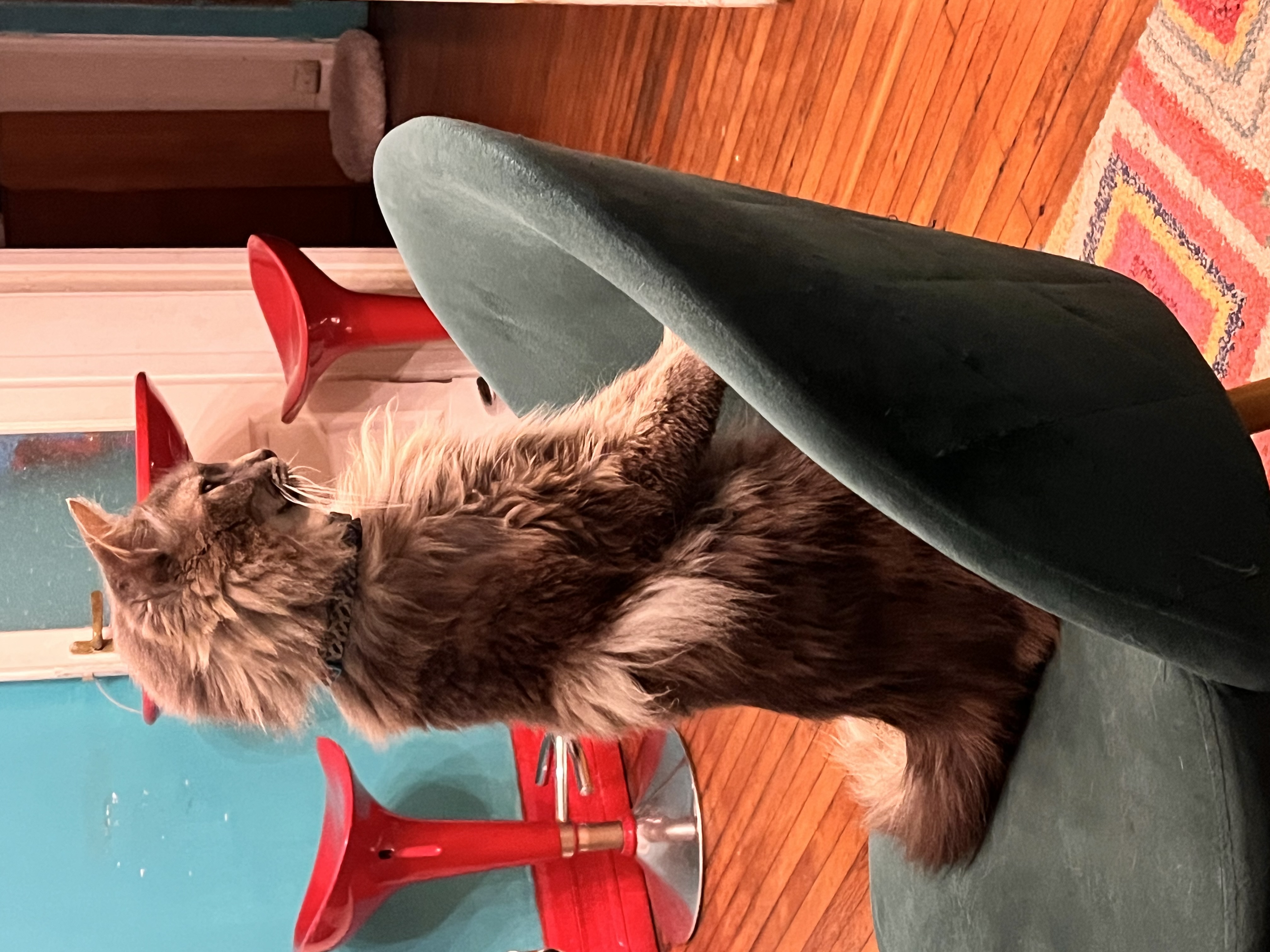 Tetería Cleopatra Chile