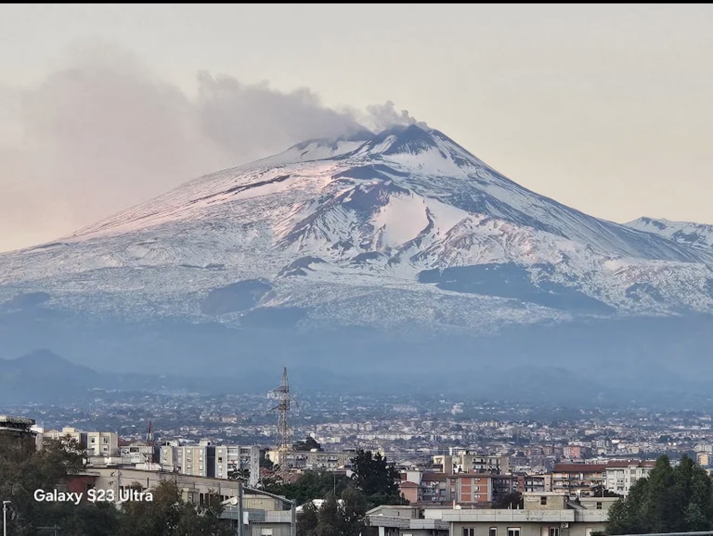 Moveo transfer Sicilia