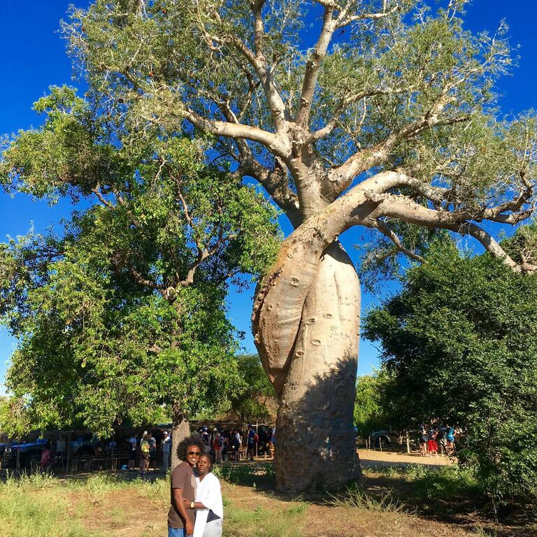 Lemurs Tour Madagascar