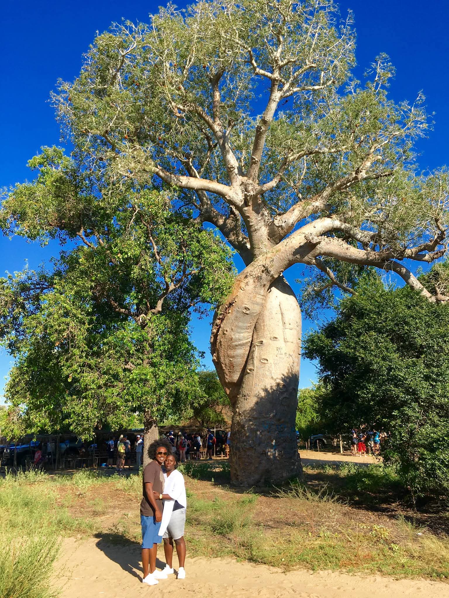 Lemurs Tour Madagascar