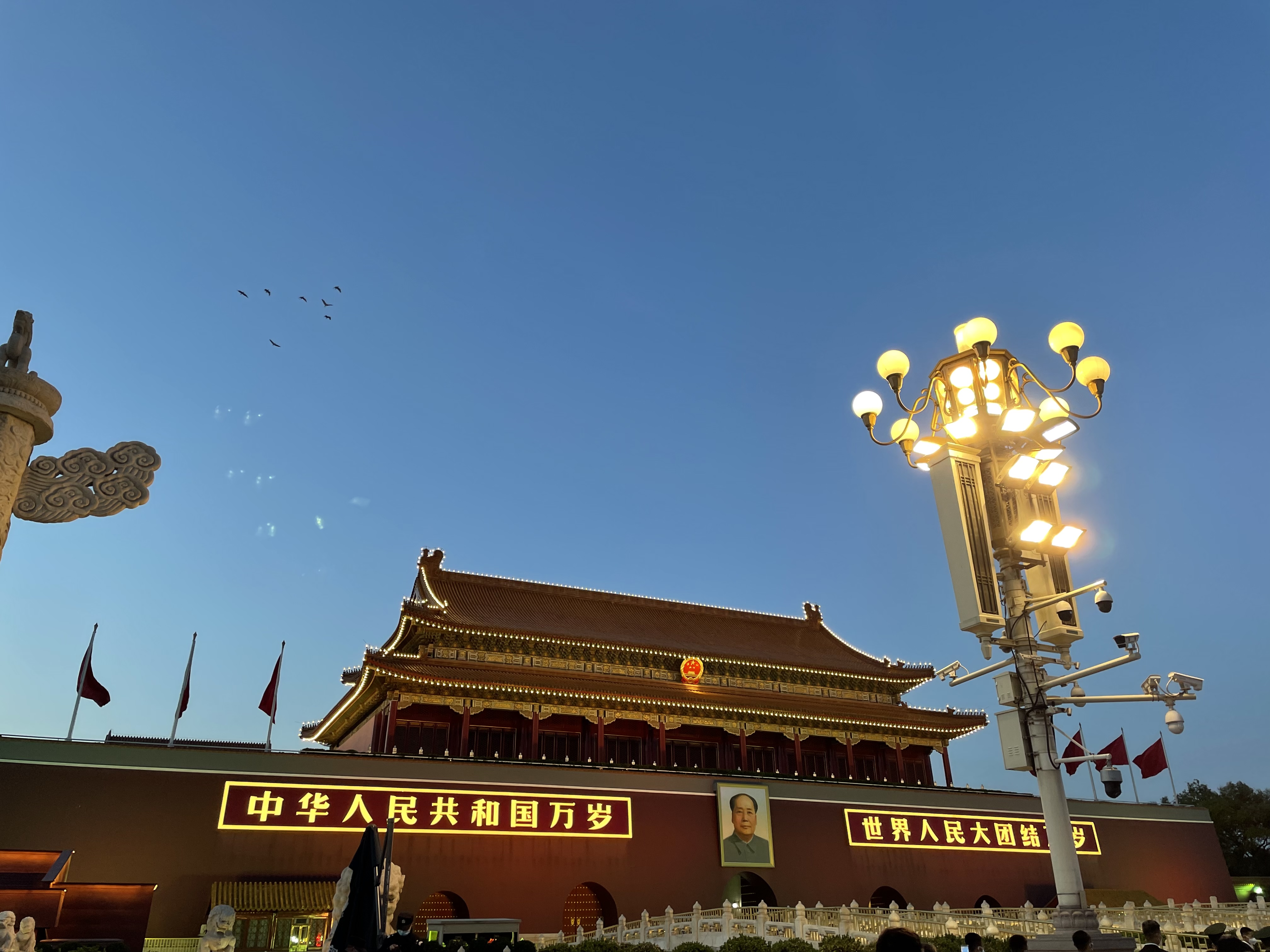 Tour guide, shopping guide,