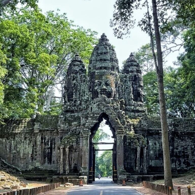 GoCambo Travel