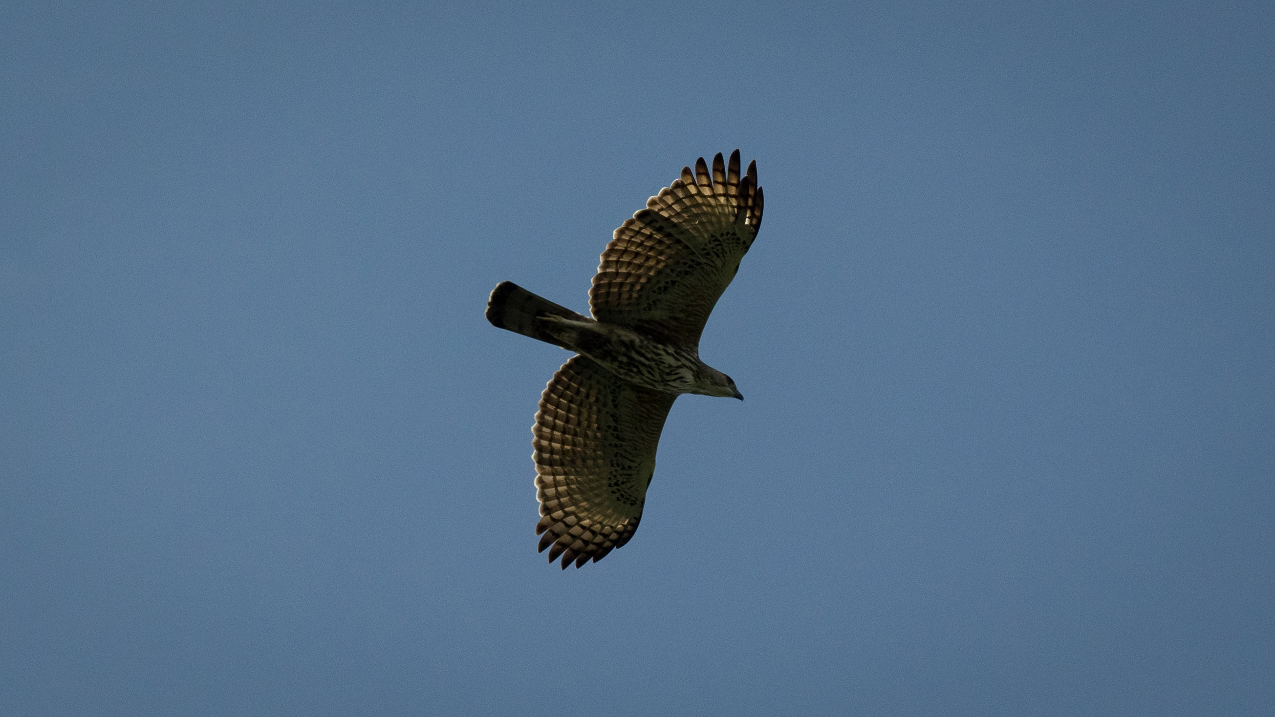 Outdoorgate Solutions Sdn Bhd