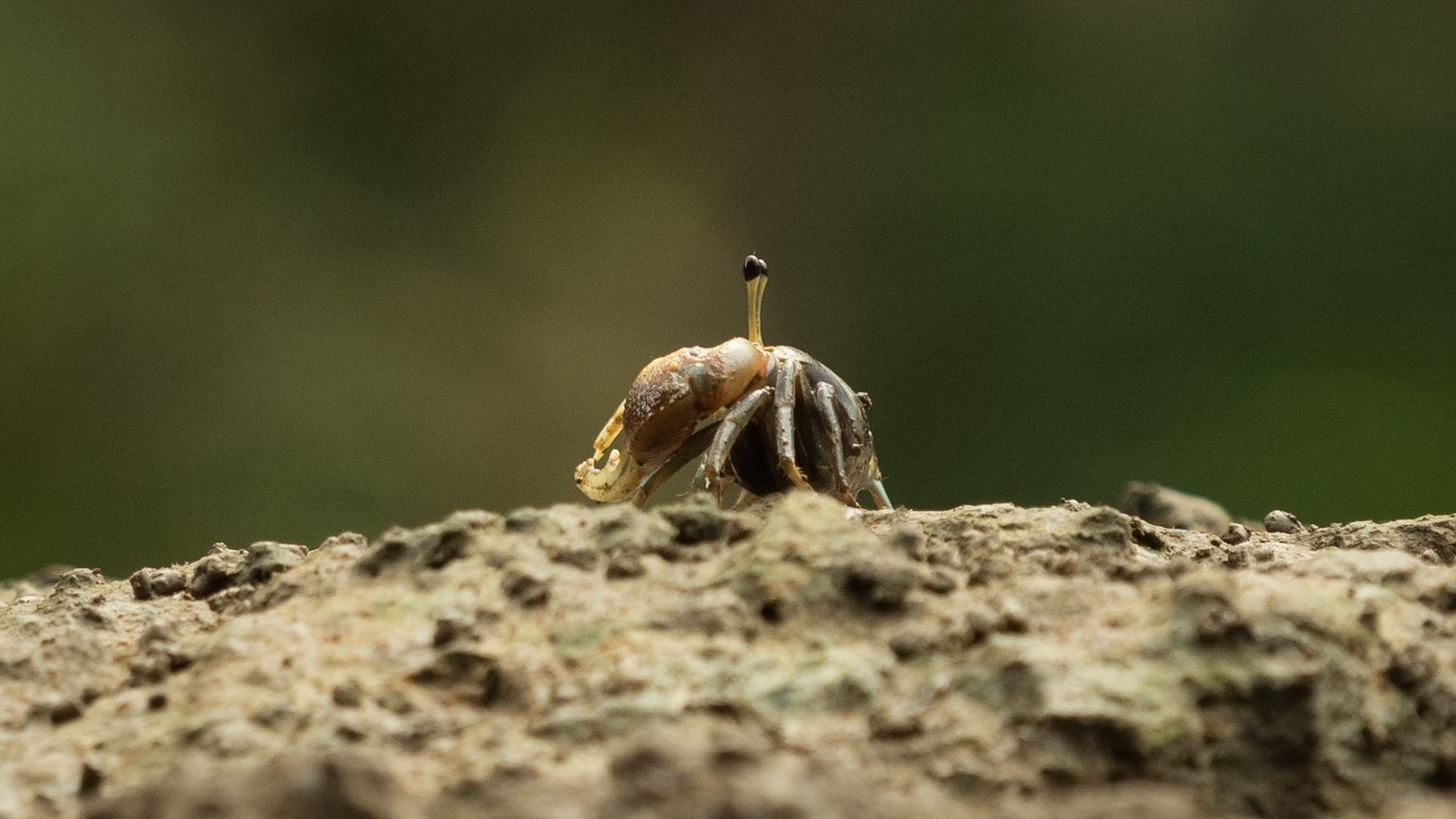 Outdoorgate Solutions Sdn Bhd