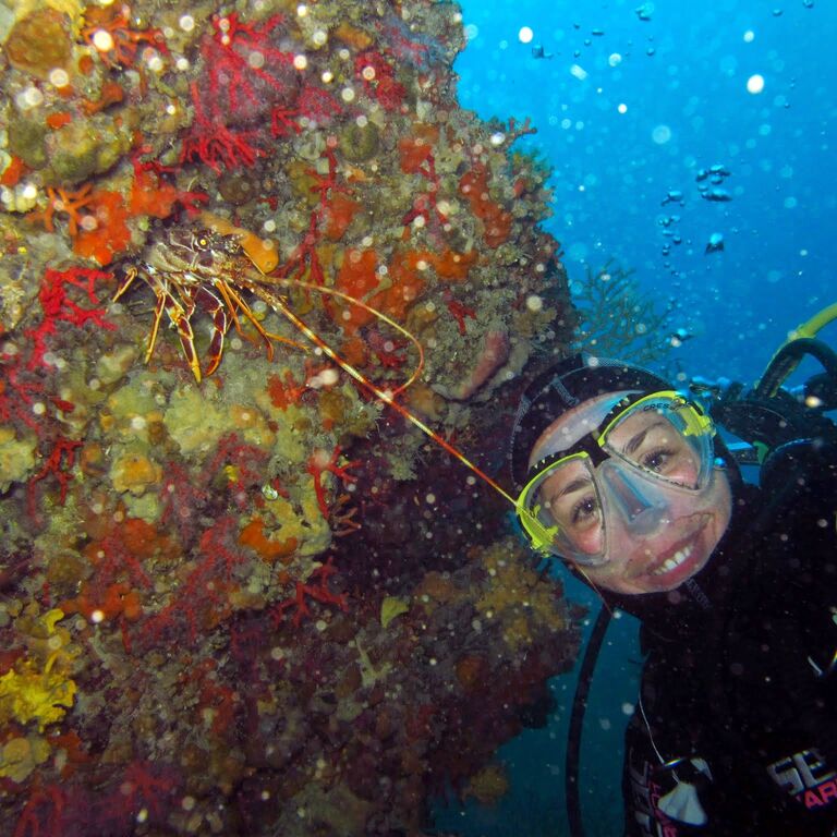 NICE DIVING