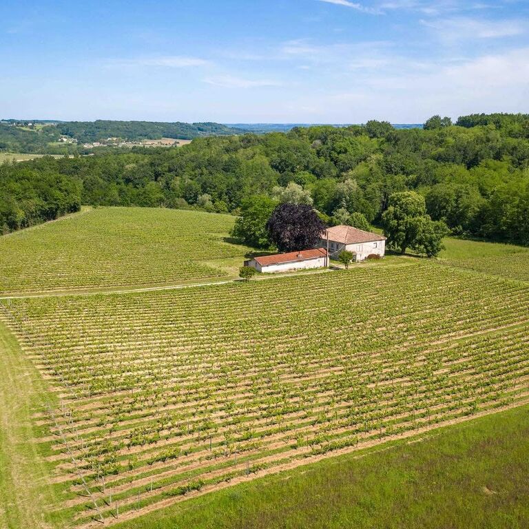 Château Paloma