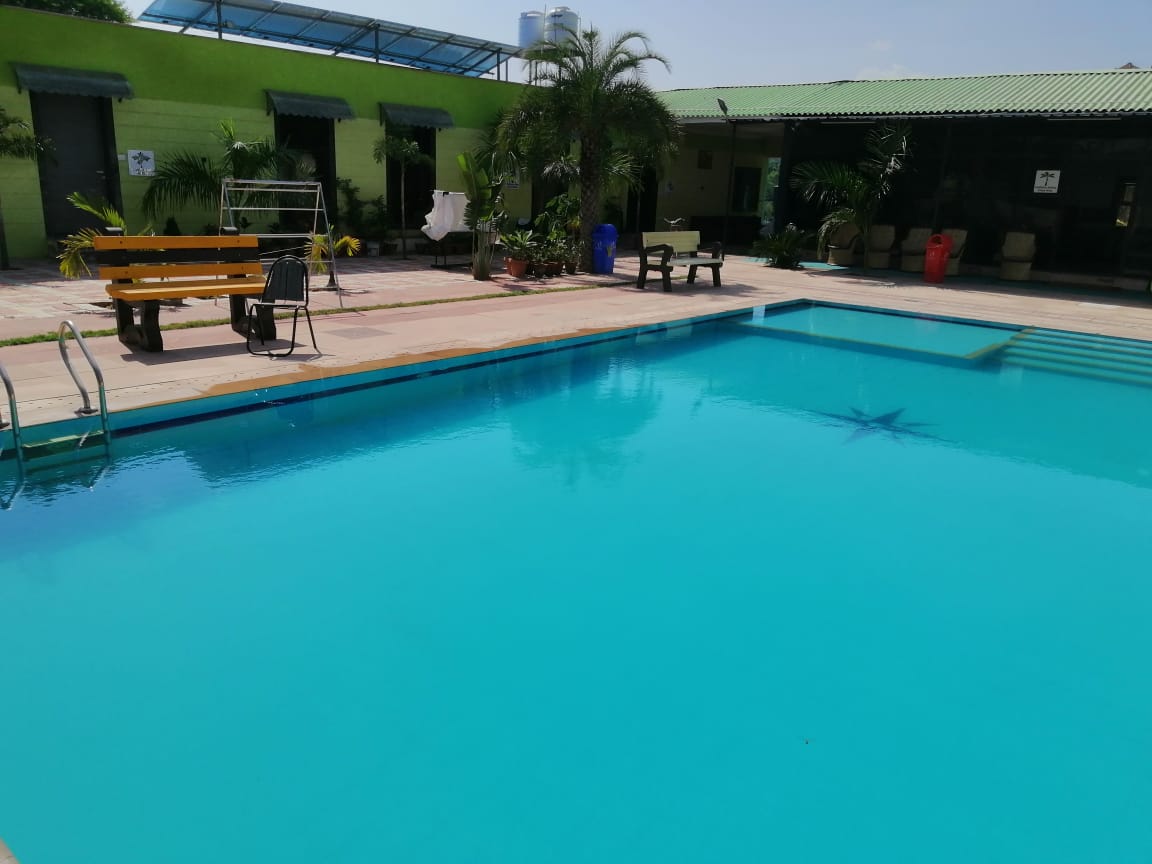 Palm Farmhouse Swimming Pool