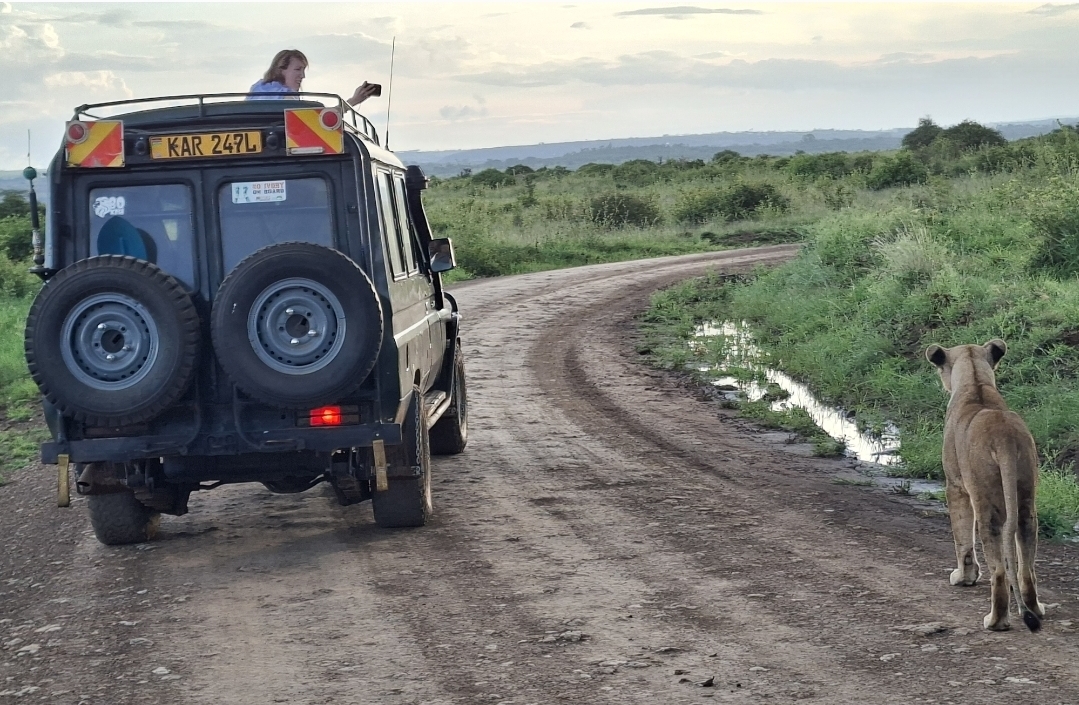 Jimfire Safaris and transfers